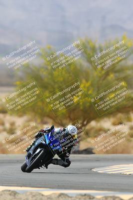 media/Apr-10-2022-SoCal Trackdays (Sun) [[f104b12566]]/Turn 5 Tree of Life (1040am)/